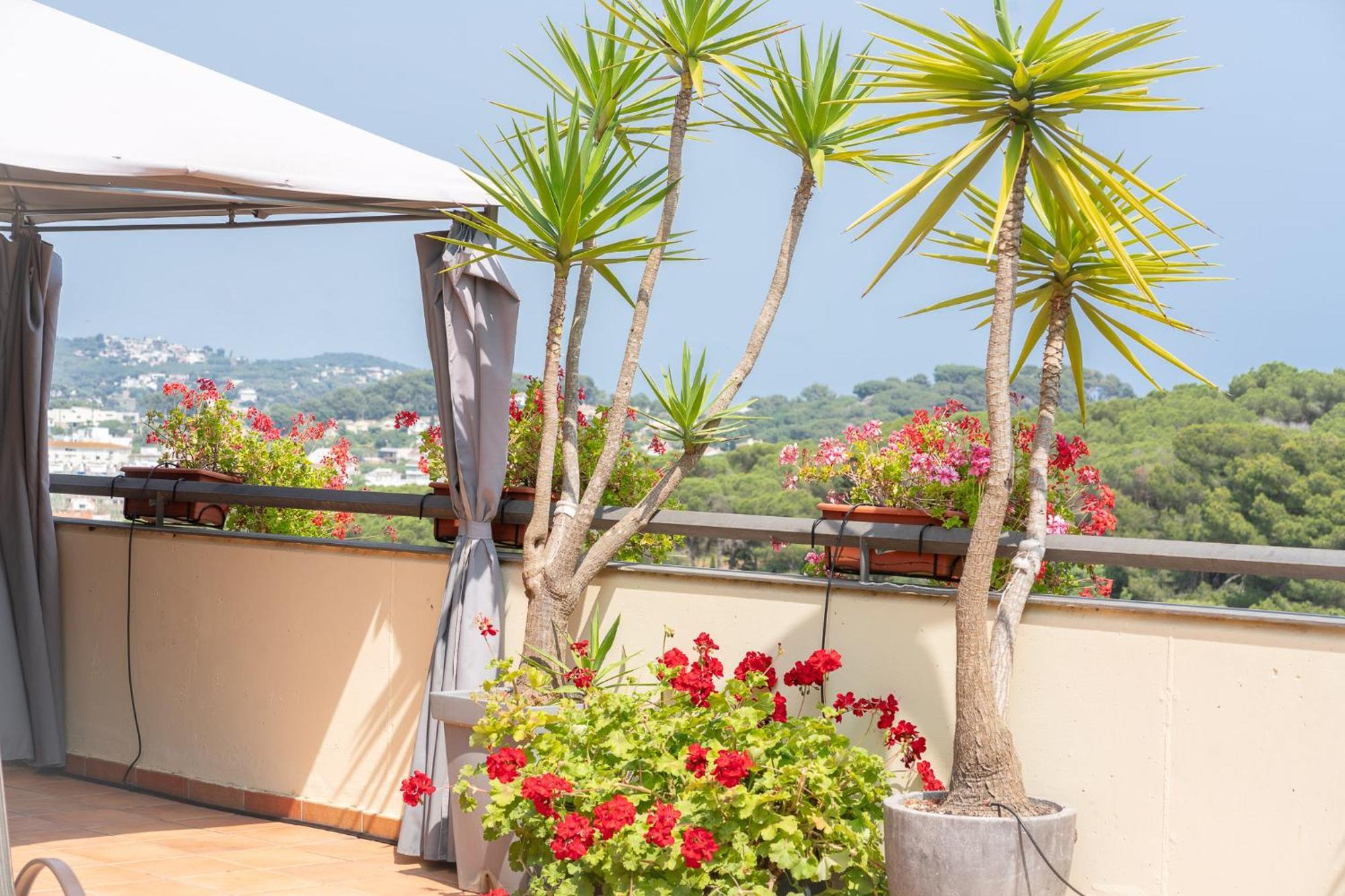 Charming Garden En 